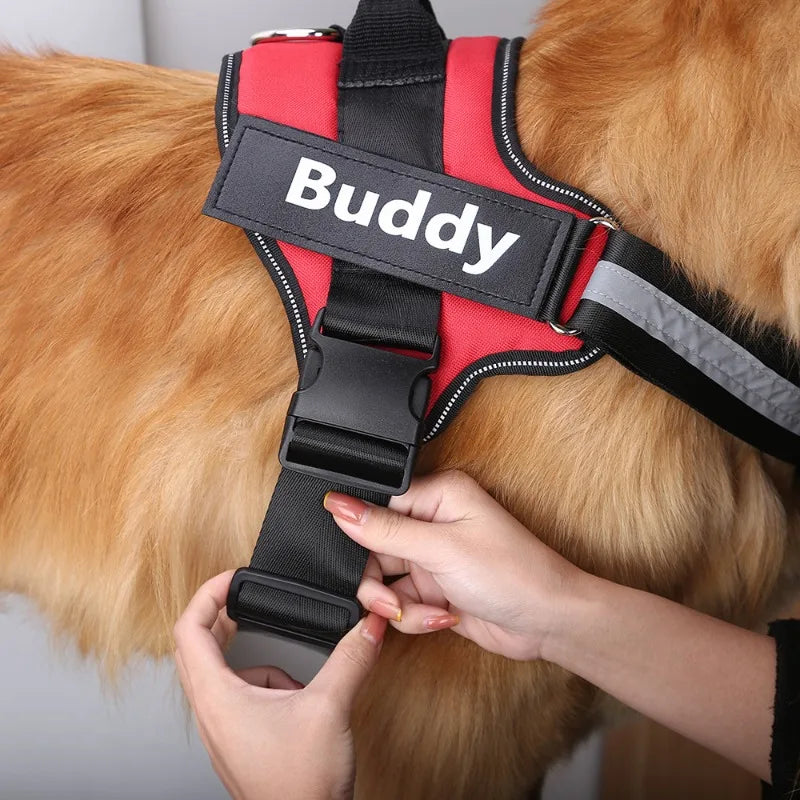 No Pull Dog Harness | Personlized Harness | Pup In A Truck Clothing