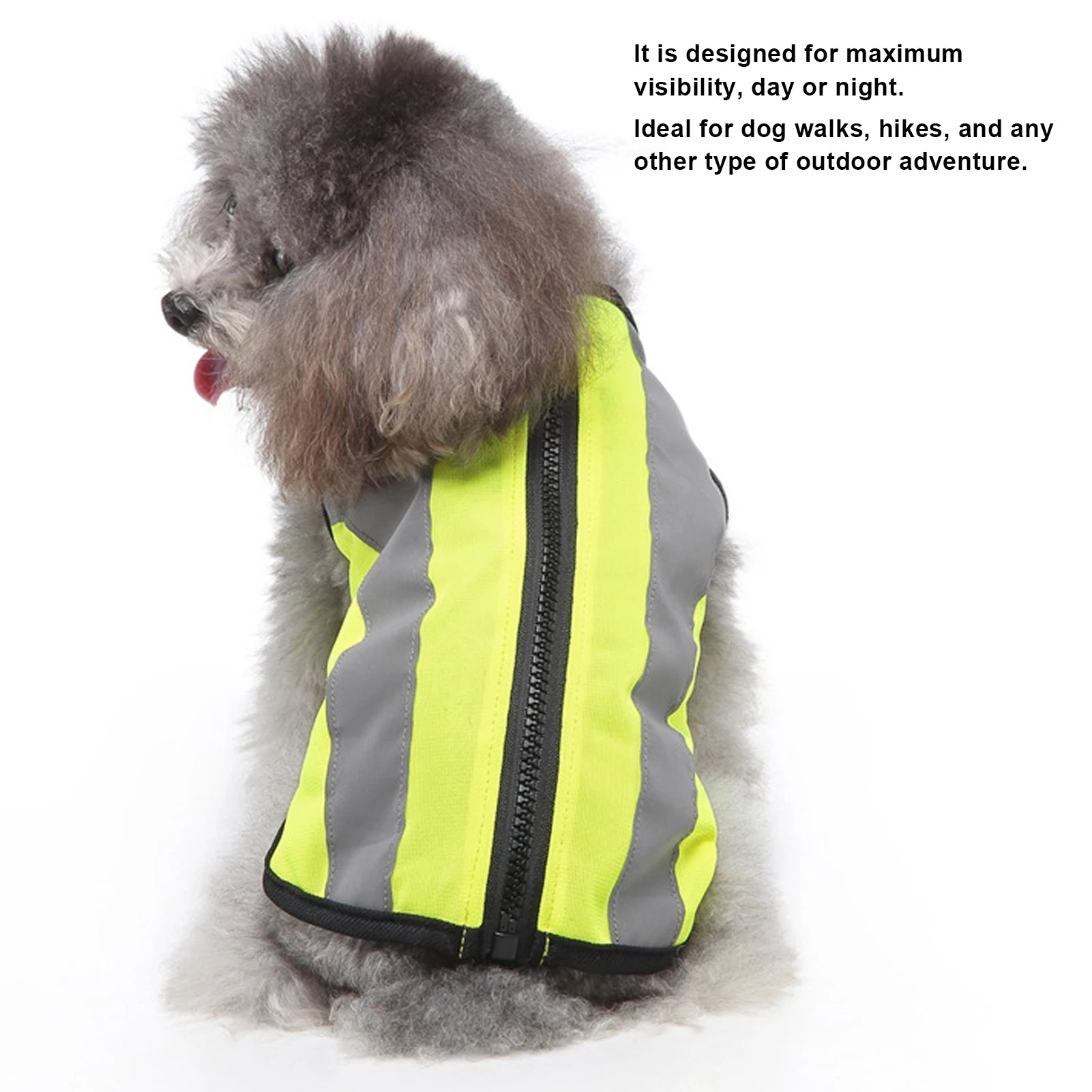 Pet Safety Jacket | Pet Safety Vest | Pup In A Truck Clothing