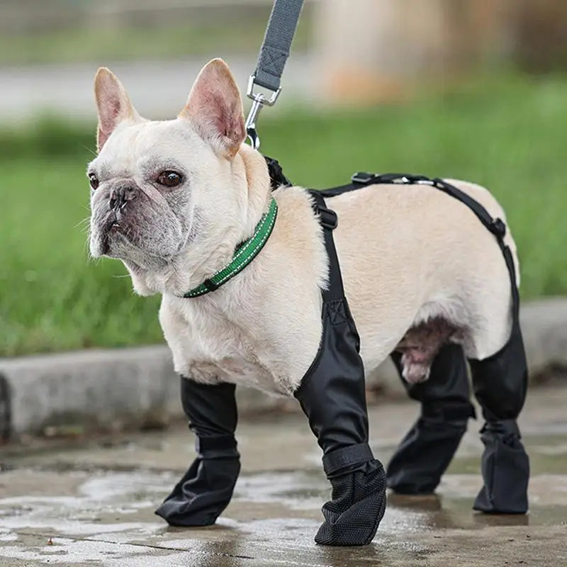 Adjustable Dog Boots | Waterproof Dog Boots | Pup In A Truck Clothing