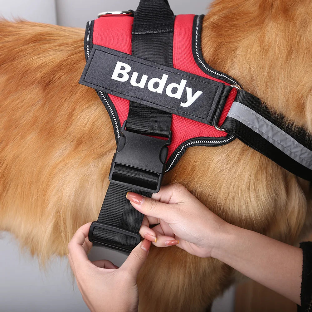 No Pull Dog Harness | Personlized Harness | Pup In A Truck Clothing